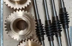 Worm gear1